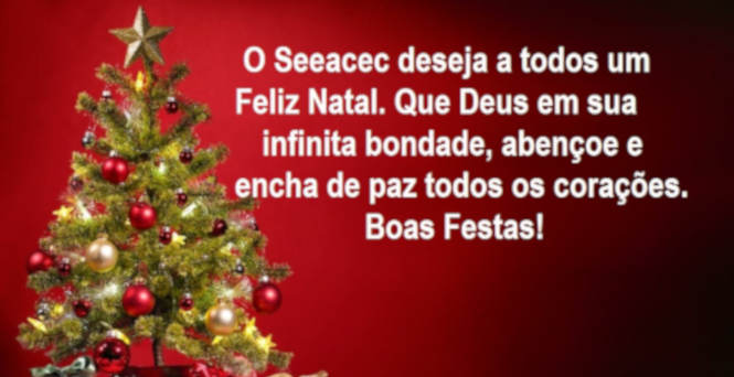 Feliz Natal e um Próspero Ano Novo – SINTES/DF